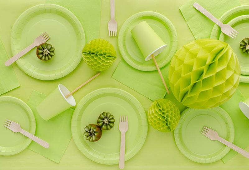 Solid Color Party Plates - Light Green, 23cm (6pcs/pack)