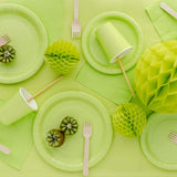 Solid Color Party Plates - Light Green, 18cm (6pcs/pack)