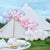 Луксозен Комплект за Изработка на Арка от Балони в Лилаво и Розово от 200 балона