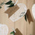 Щипки за Декорация | Дървени Декоративни Щипки в Бяло | Emotions Factory