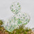 Прозрачни Балони с Конфети Тропически Листа - Парти Джунгла - Бели Латексови Балони Тропическо Парти - Emotions Factory