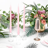 Set of 21 Tropical Leaves